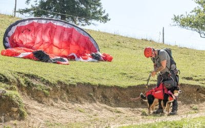 Sécurité en parapente : gestion des incidents et manœuvres de secours expliquées par LocaWing
