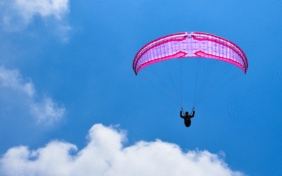 Bienvenue à Level Wings